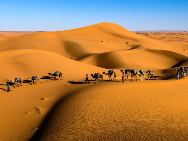 Golden Sand Dunes